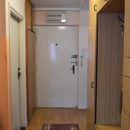 Apartman Nikolic Bor Bagian luar foto