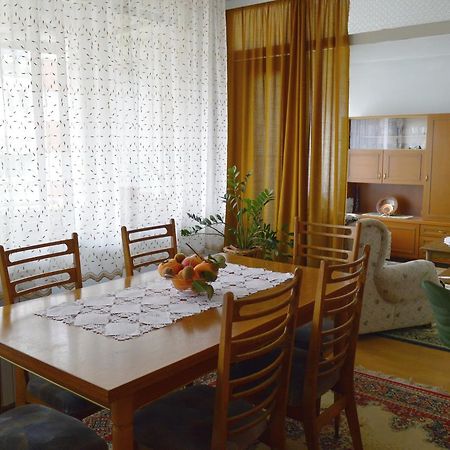 Apartman Nikolic Bor Bagian luar foto