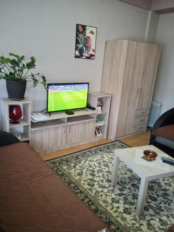 Apartman Nikolic Bor Bagian luar foto