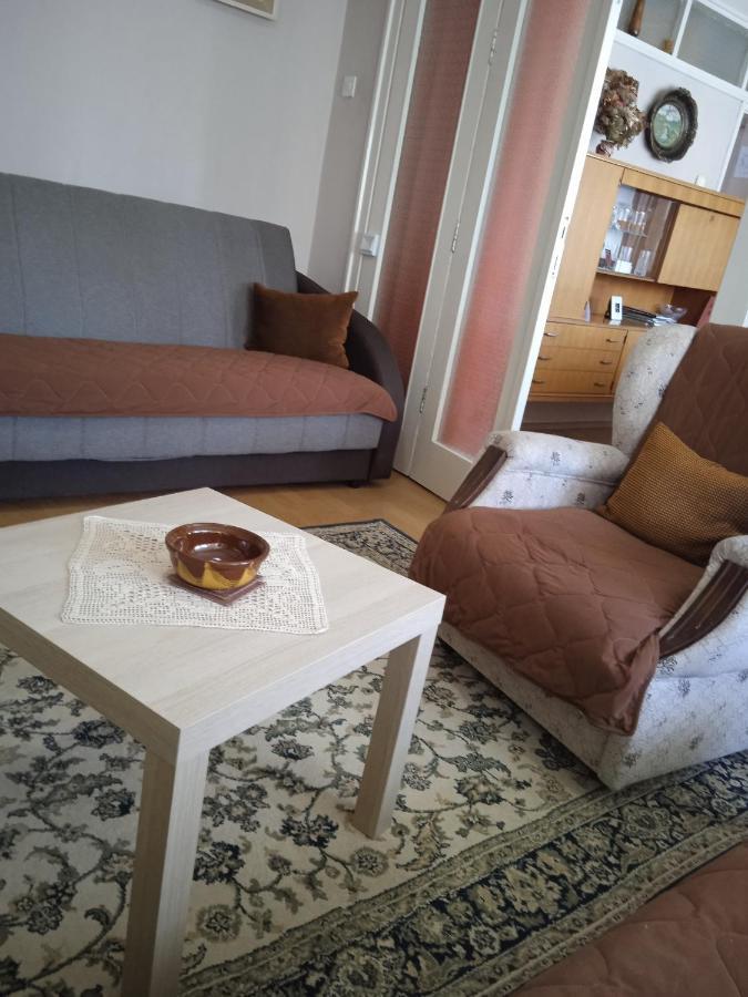 Apartman Nikolic Bor Bagian luar foto