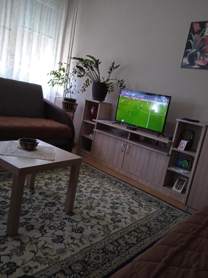 Apartman Nikolic Bor Bagian luar foto