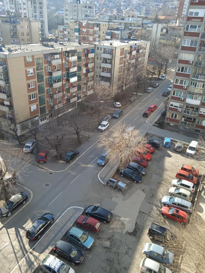 Apartman Nikolic Bor Bagian luar foto