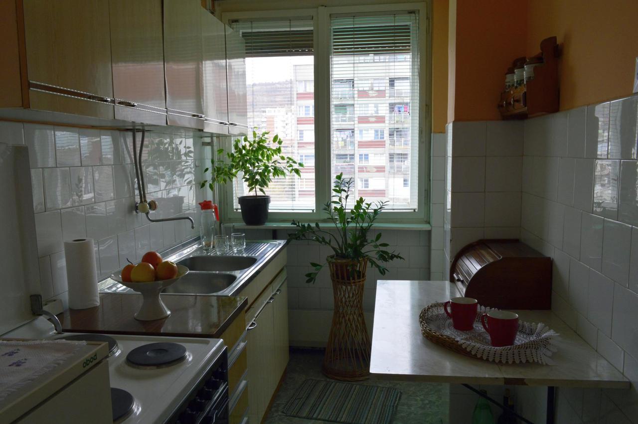 Apartman Nikolic Bor Bagian luar foto